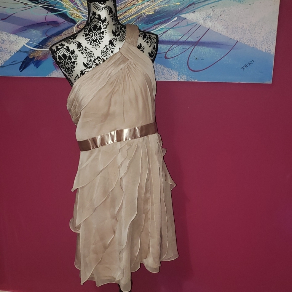 Adrianna Papell dress